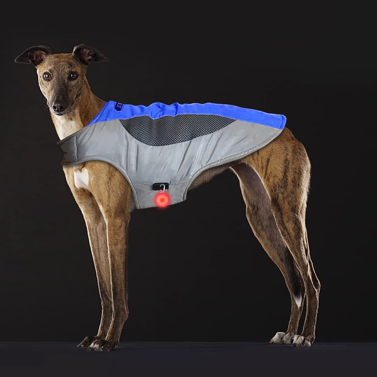 Hondenvest XL - Verstelbaar - Fleece met LED Licht - Houdt je hond warm tijdens buitenactiviteiten - ShopVlot