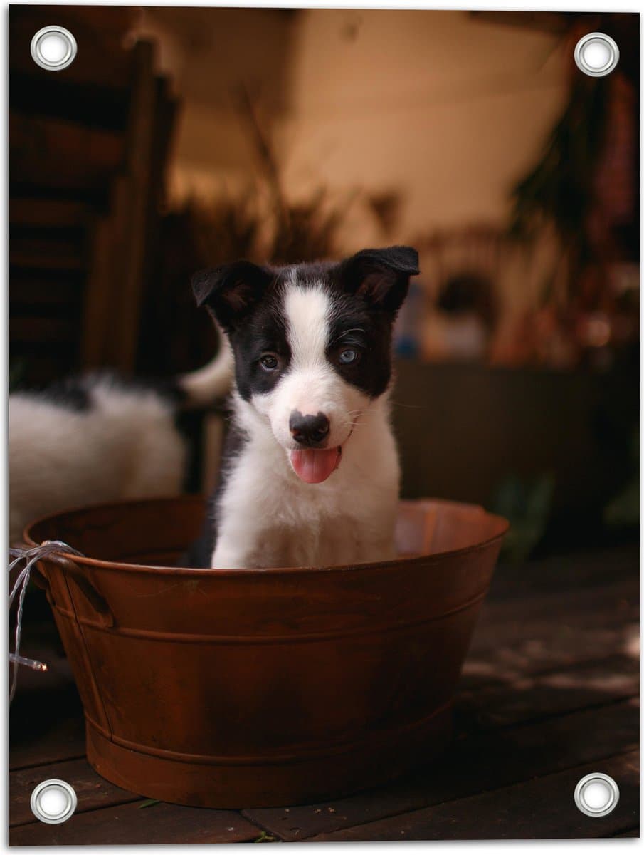 Tuinposter – Zwart met Witte Puppy in Teiltje - 30x40 cm Foto op Tuinposter (wanddecoratie voor buiten en binnen)