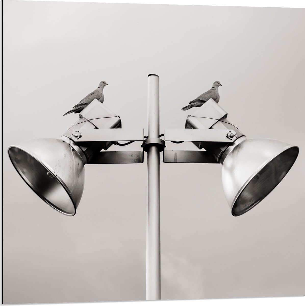 Dibond - Grote Speakers op Paal - 80x80 cm Foto op Aluminium (Wanddecoratie van metaal)