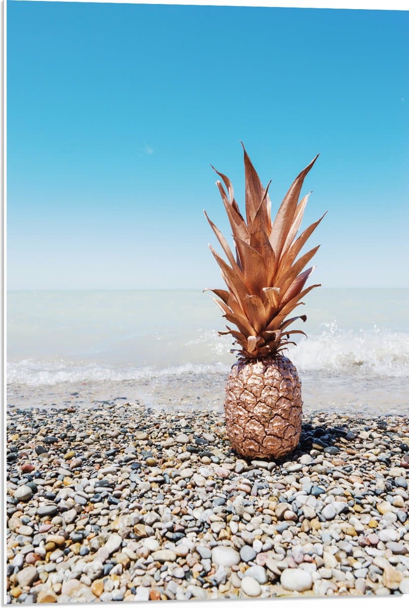 PVC Schuimplaat- Ananas op Kiezelstenen - 50x75 cm Foto op PVC Schuimplaat