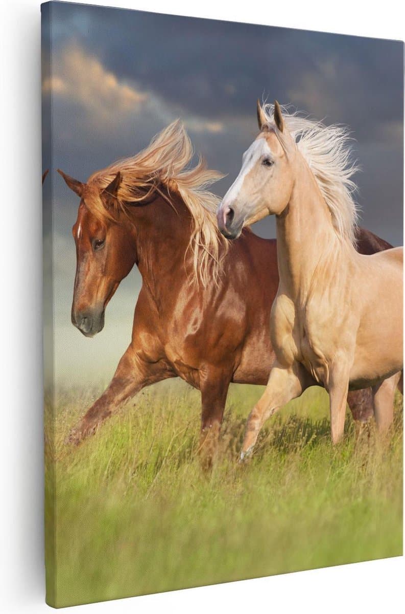 Artaza Canvas Schilderij Bruin En Wit Paard In De Wei - 80x100 - Groot - Foto Op Canvas - Canvas Print