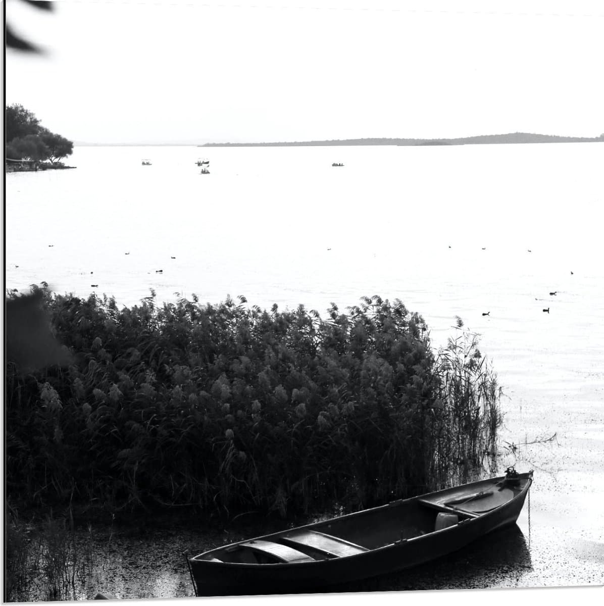Dibond - Vissersbootje op Water (zwart/wit) - 80x80cm Foto op Aluminium (Wanddecoratie van metaal)