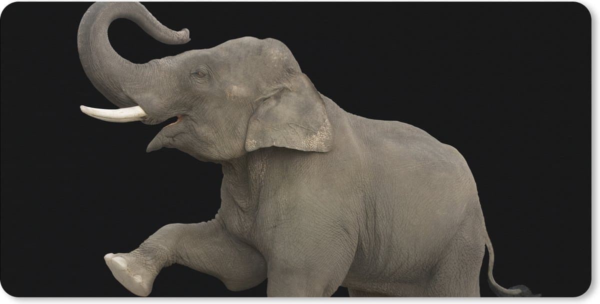 Muismat XXL 90x45 cm - Bureau onderlegger - Bureau mat Olifant - Dieren - Zwart - Portret - Bureaumat - Gaming mousepad xl - Bureaulegger groot - Computer deskmat