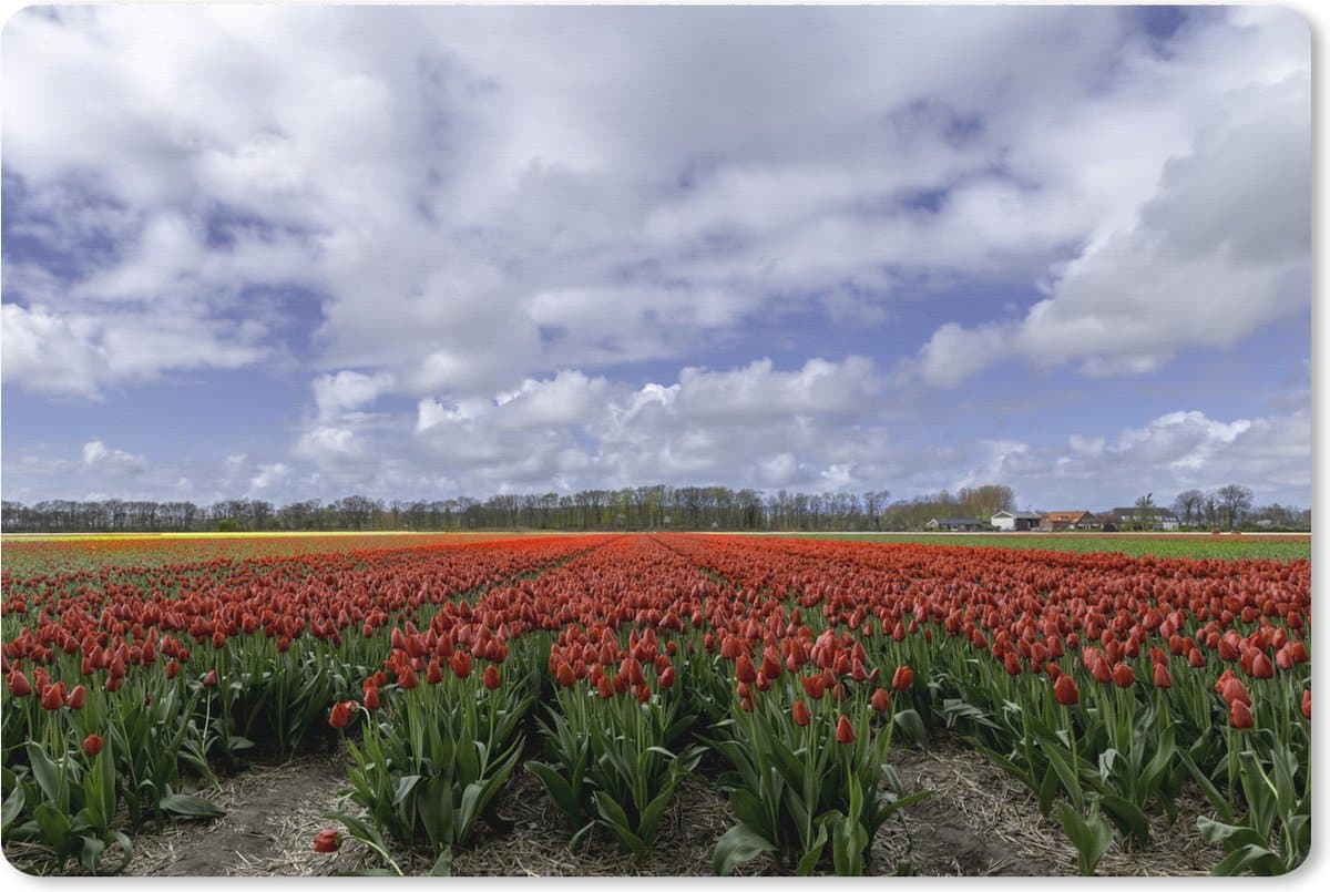 Muismat XXL 120x80 cm - Bureau onderlegger - Bureau mat Rode tulpen bij de Keukenhof in Zuid-Holland - Bureaumat - Gaming mousepad xl - Bureaulegger groot - Computer deskmat
