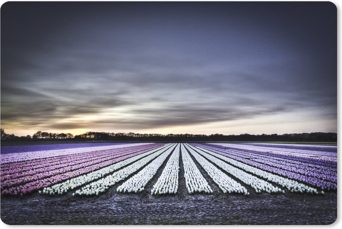 Muismat XXL 120x80 cm - Bureau onderlegger - Bureau mat Tulpenvelden bij de Keukenhof in Holland - Bureaumat - Gaming mousepad xl - Bureaulegger groot - Computer deskmat