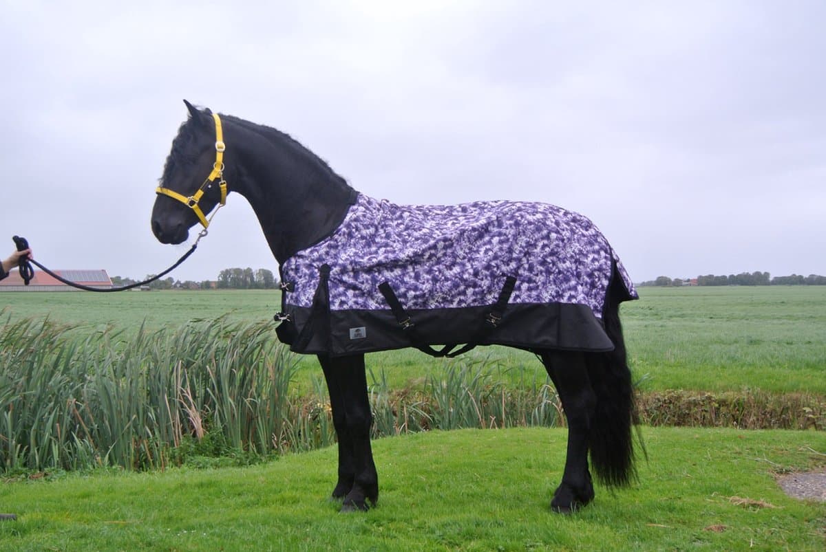 Regendeken luxe 150 gram Zwart/paars paardendeken