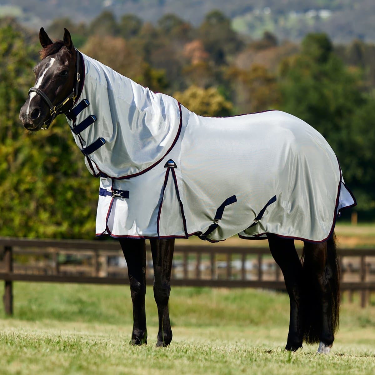 Amigo Integrated Fly Sheet Heather Blue/Blue & Silver 160/213 cm