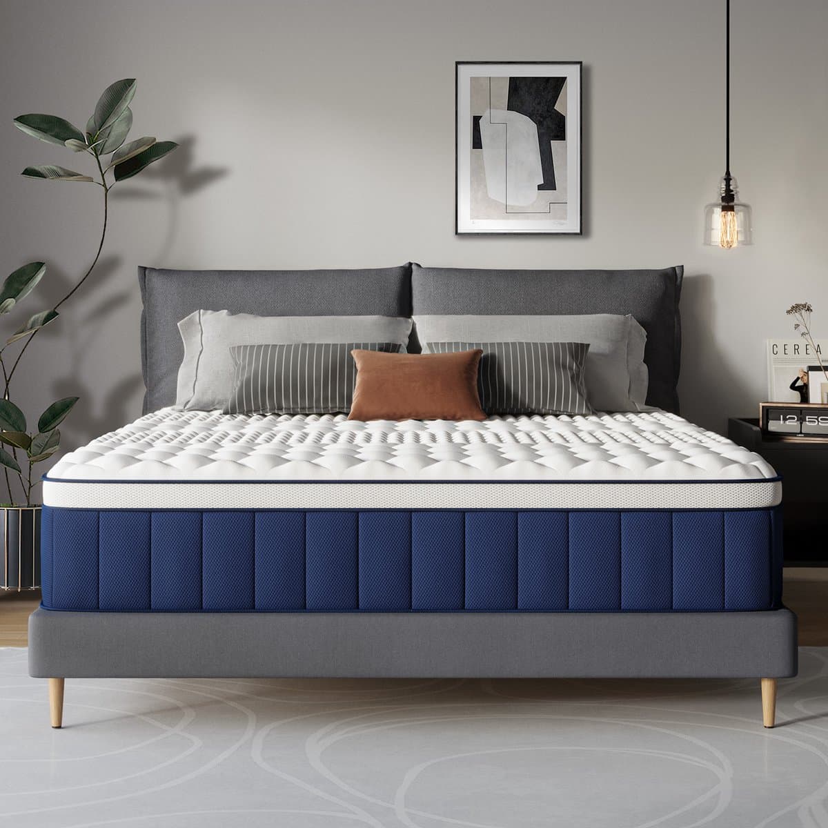 Matras 160x200 cm - 25cm - Pocketvering Matras - 7-Zones - Orthopedisch - Afritsbaar en wasbaar hoeslaken - Anti-Allergie - Traagschuim - Gemiddelde Stevigheid