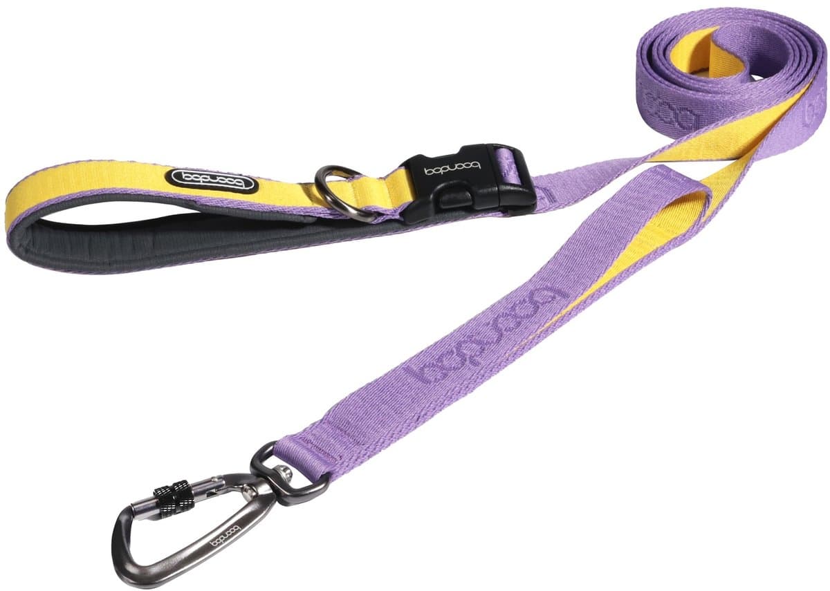 Boondog Hondenriem 2.0m - Extra Sterke Nylon Riem - Meer Controle - Comfortabele Grip - Karabijnhaak - Purple/Lemon - Maat S