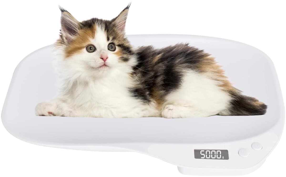 Digitale weegschaal - Dieren weegschaal - Kleine dieren wegen - Vier meetmodi - Tot 15 kg - Wit
