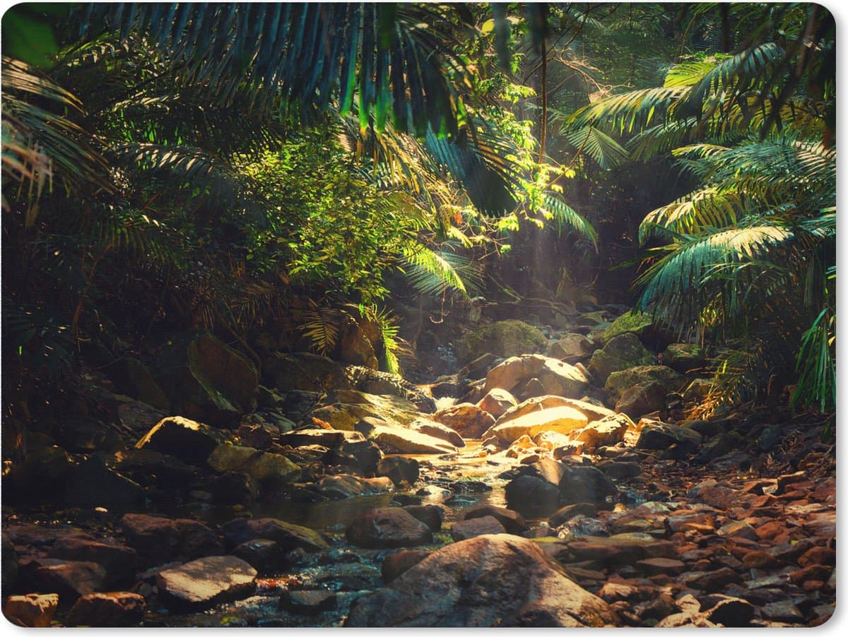 Muismat XXL 80x60 cm - Bureau onderlegger - Bureau mat Jungle - Zon - India - Jongens - Meisjes - Kinderen - Bureaumat - Gaming mousepad xl - Bureaulegger groot - Computer deskmat
