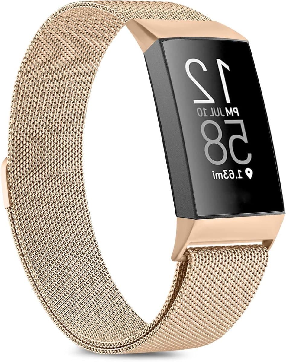 CSGoods - Metalen Reservearmband voor Fitbit Charge 4/3 - Verstelbaar en Roestvrij Staal - Heren en Dames - Large