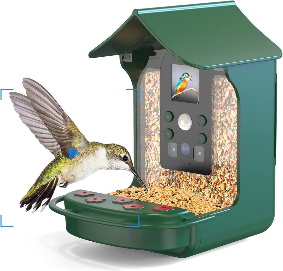 Vogelhuisje met Camera en Nachzicht - 1080p HD, Automatische Opname voor Vogels in Tuin