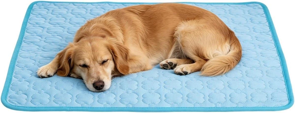 Verkoelende Hondenmat - Dierenmatras Ademend - Koel Blijven - Krasbestendig Veerkrachtig - Maat L - Hemelsblauw