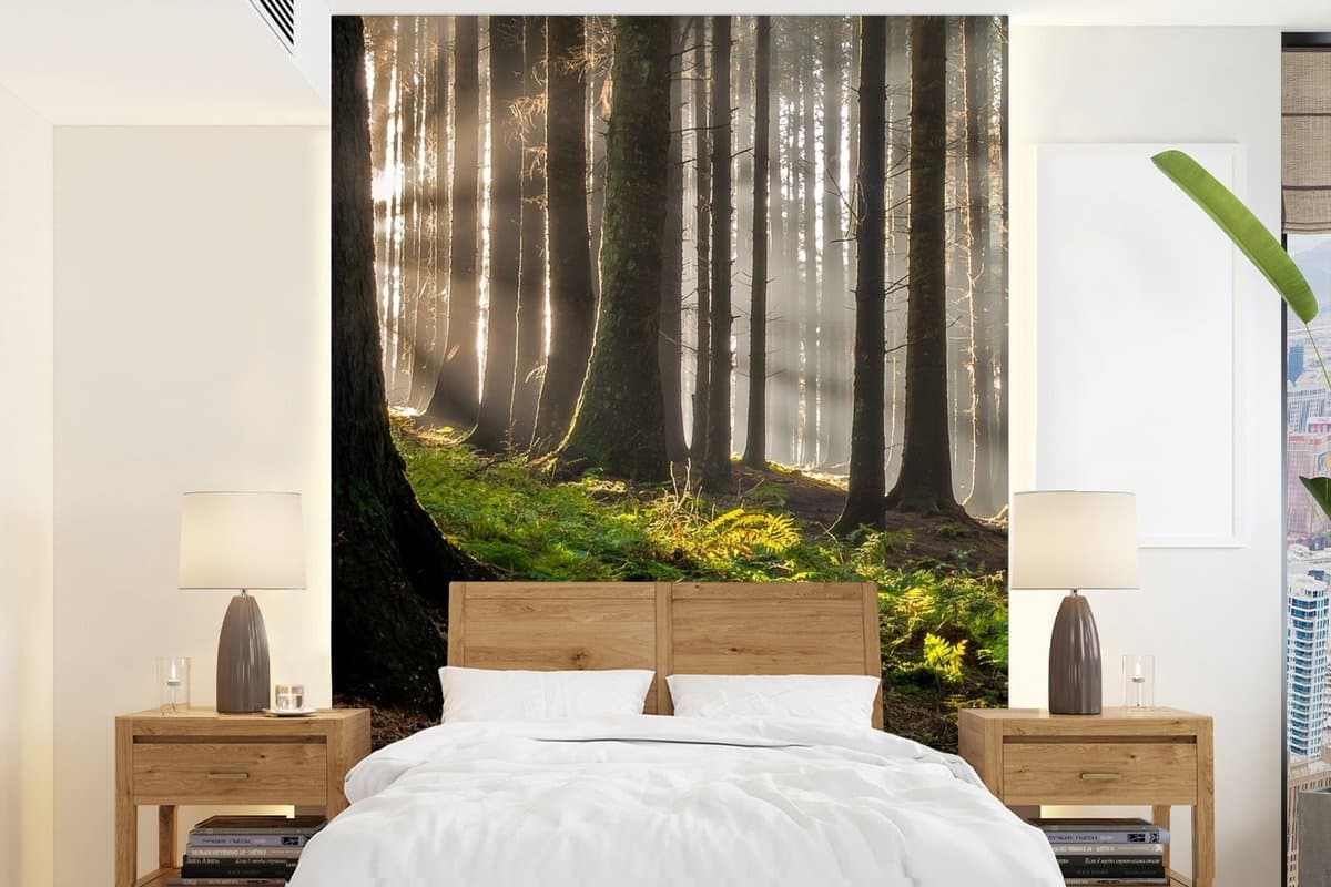 Behang - Fotobehang Zon - Takken - Bomen - Bos - Natuur - Breedte 190 cm x hoogte 260 cm