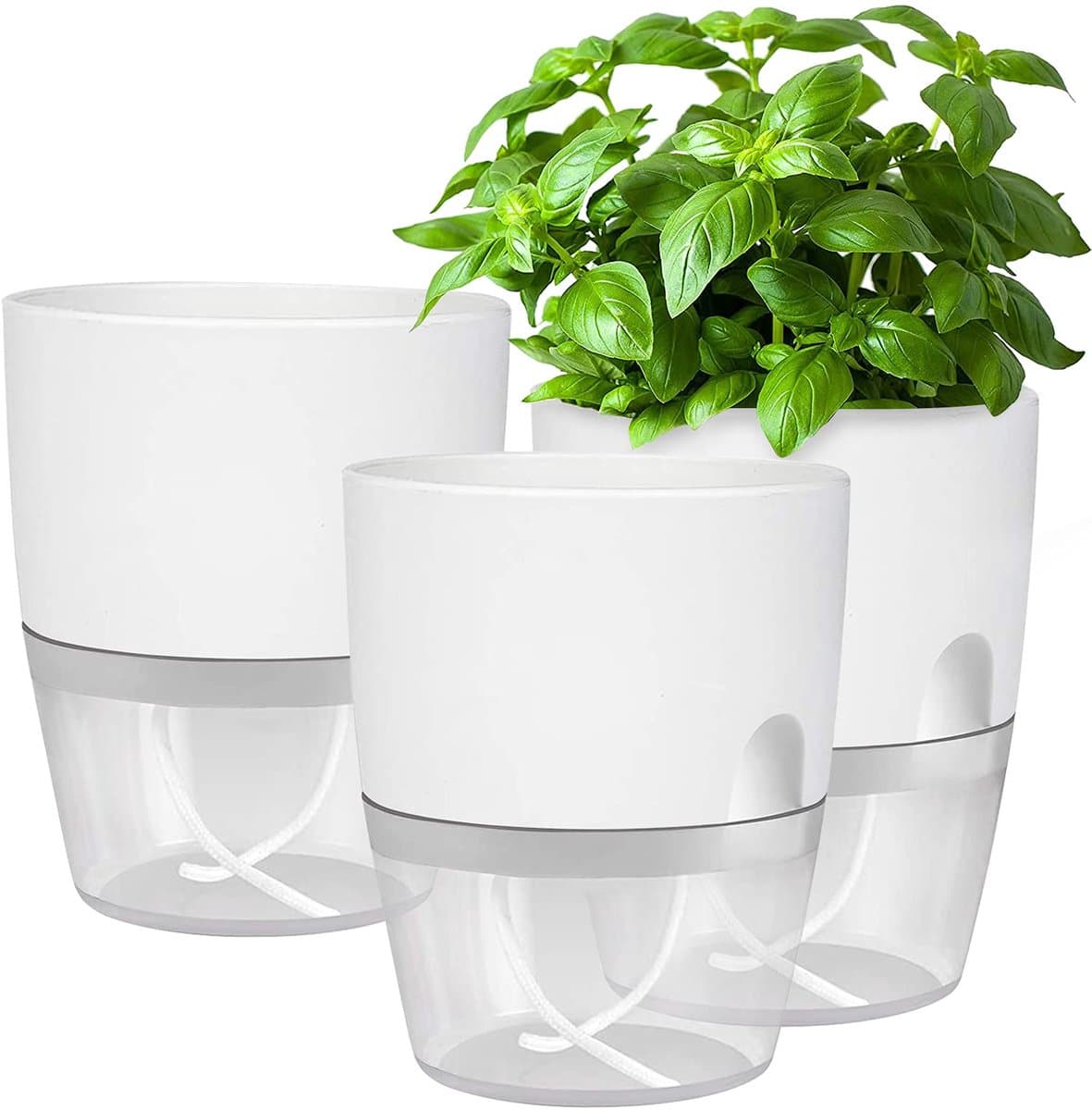 My Ninki ® Vensterbank Kruidenpot Set met Zelfbewaterend Systeem voor Verse Keukenkruiden, Set van 3 Stuks, Wit