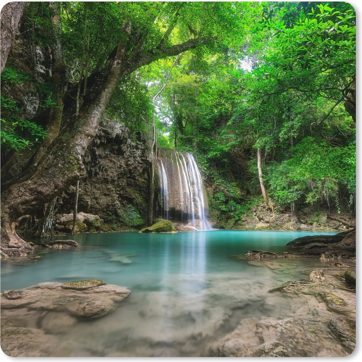 Muismat XXL 40x40 cm - Bureau onderlegger - Bureau mat Jungle - Waterval - Planten - Water - Natuur - Bureaumat - Gaming mousepad xl - Bureaulegger groot - Computer deskmat