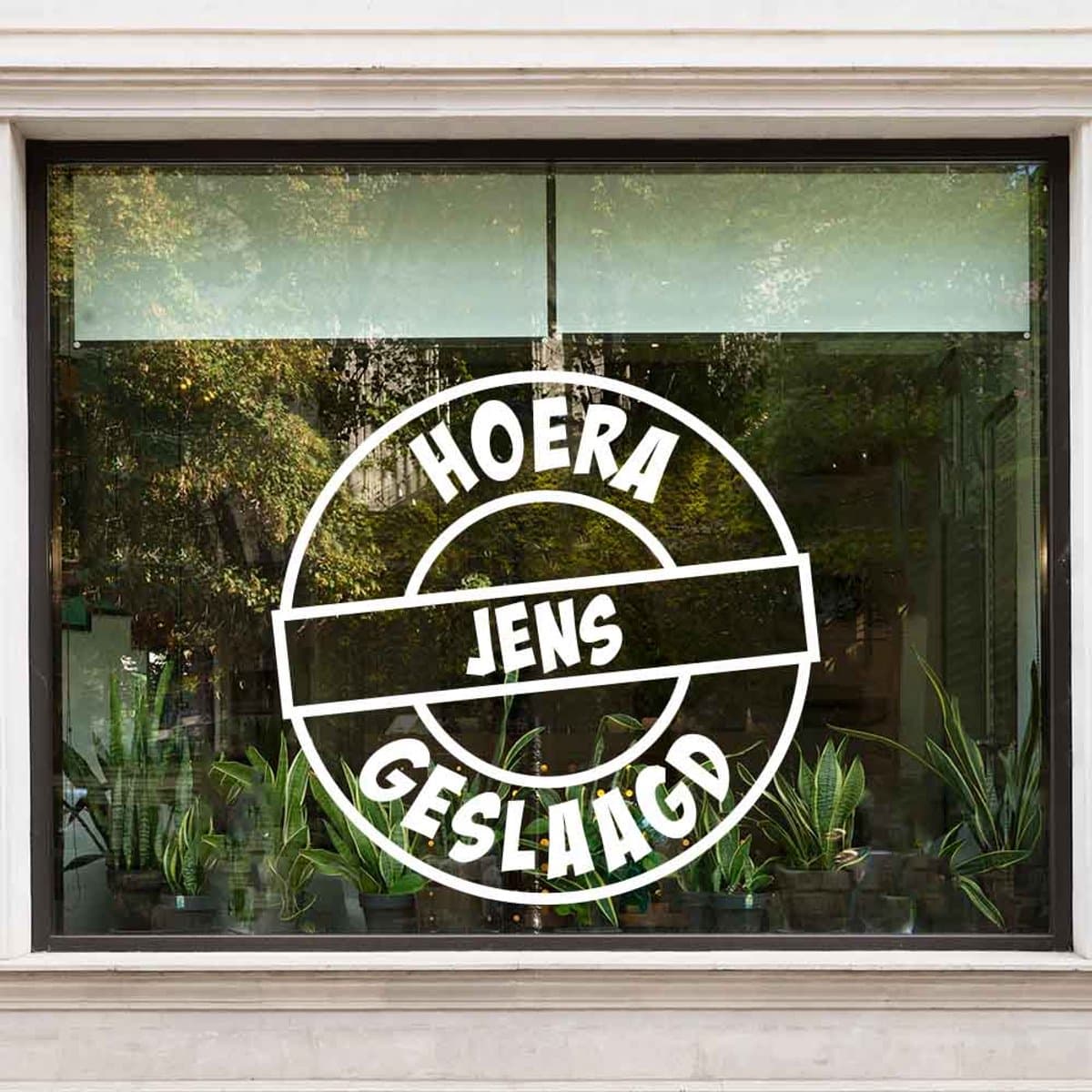 Hoera geslaagd button - Zwart - 50 x 50 cm