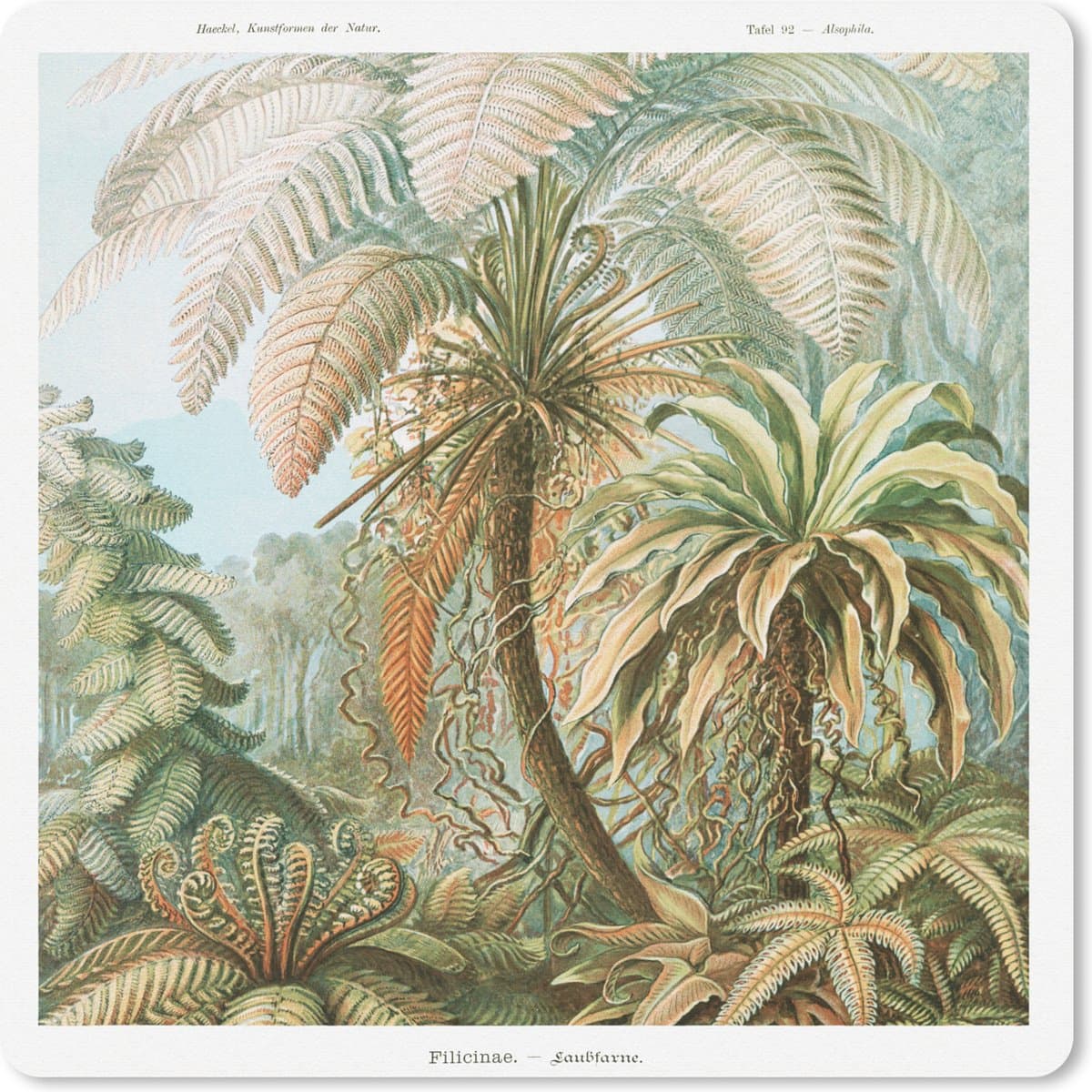 Muismat 30x30 cm - Mousepad Vintage - Oude meesters - Varens - Planten - Natuur - Muismatten