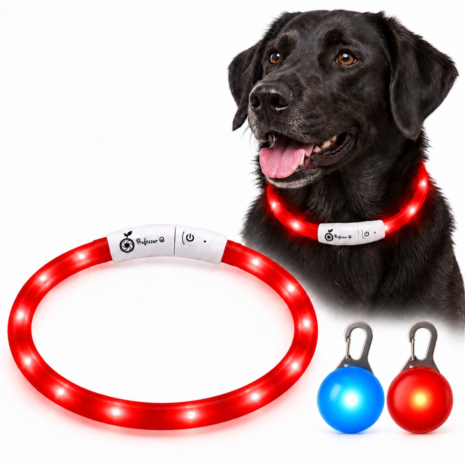 Professor Q LED Hondenhalsband Set - Rood XL 71 cm - USB Oplaadbaar - 3 Lichtstanden - Met Blauw en Rood LED Lampje
