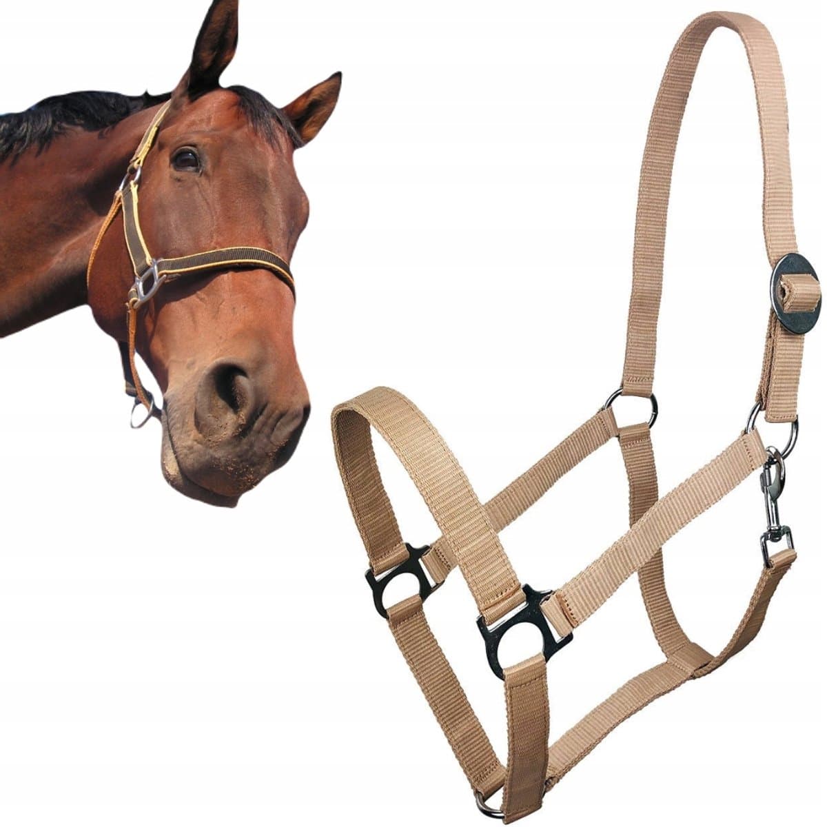 York Harmony Hoofdband Paard, Beige, Maat COB