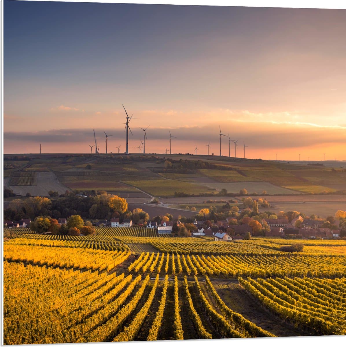PVC Schuimplaat - Windmolens aan Rand van Dorp - 80x80 cm Foto op PVC Schuimplaat (Met Ophangsysteem)