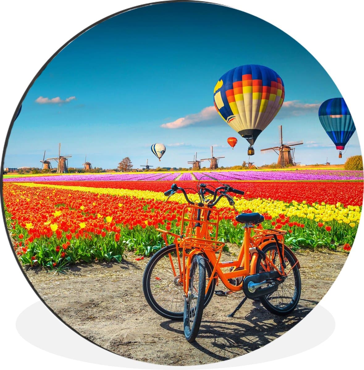 WallCircle - Wandcirkel - Muurcirkel - Luchtballon - Oranje - Tulpen - Aluminium - Dibond - 60x60 cm - Binnen en Buiten
