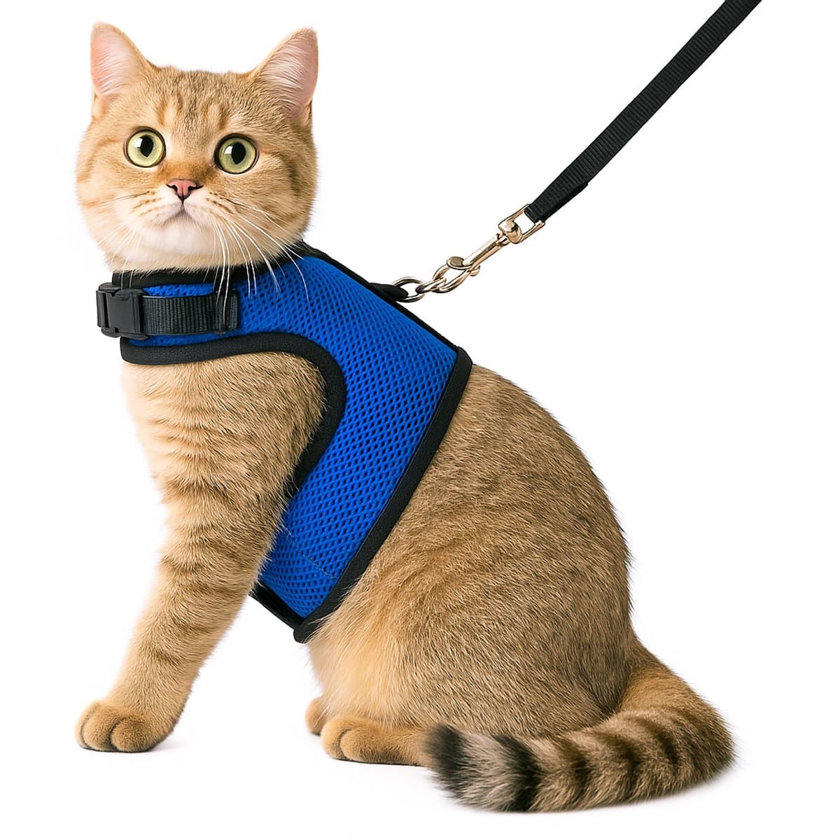 Zootic kattentuigje met looplijn - Kattenharnas marineblauw maat L - Halsomvang 24-32cm & Borstomvang 36-40cm