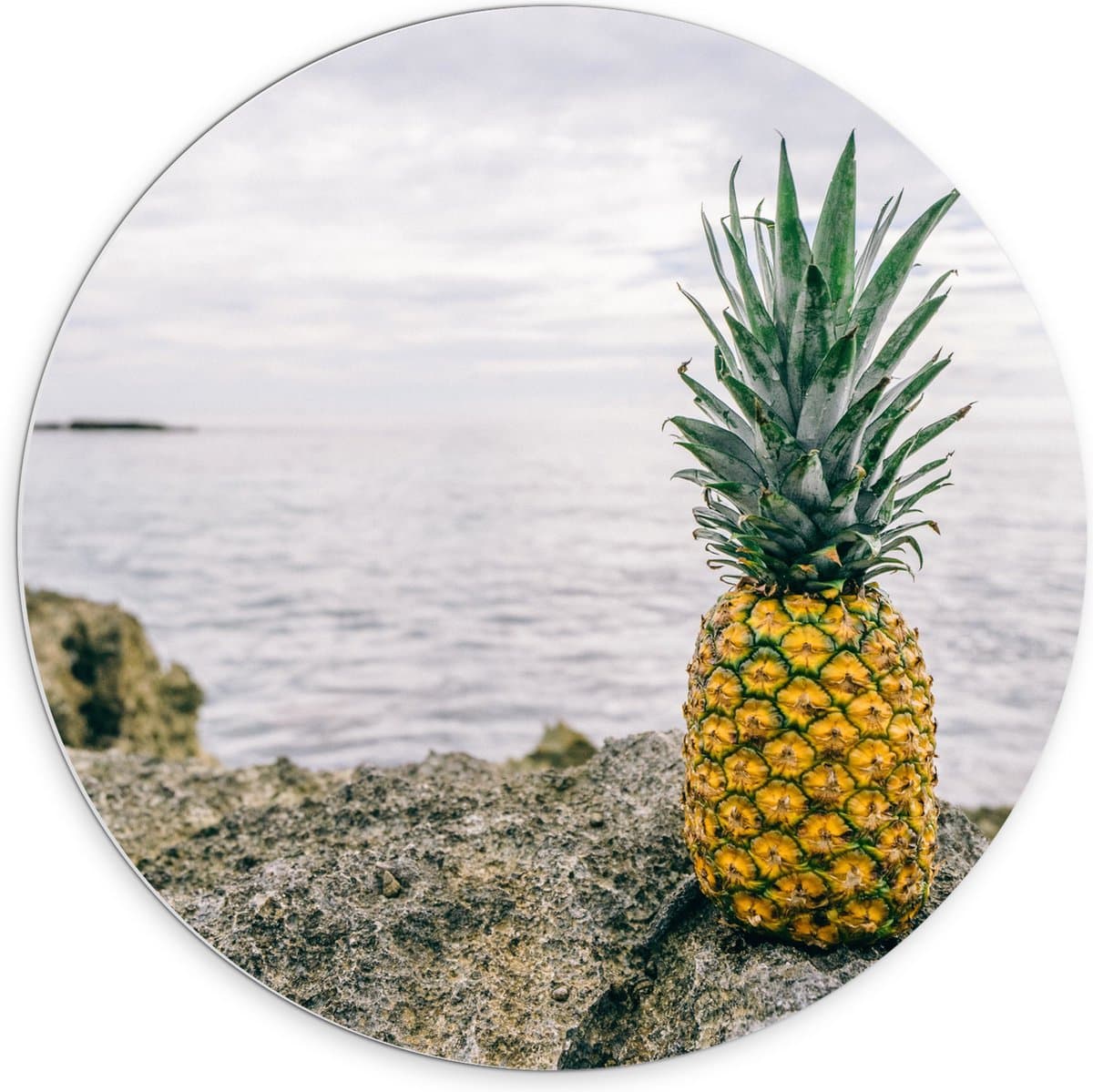 PVC Schuimplaat Muurcirkel - Ananas - Rotsen - Zee - Golven - 70x70 cm Foto op Muurcirkel (met ophangsysteem)