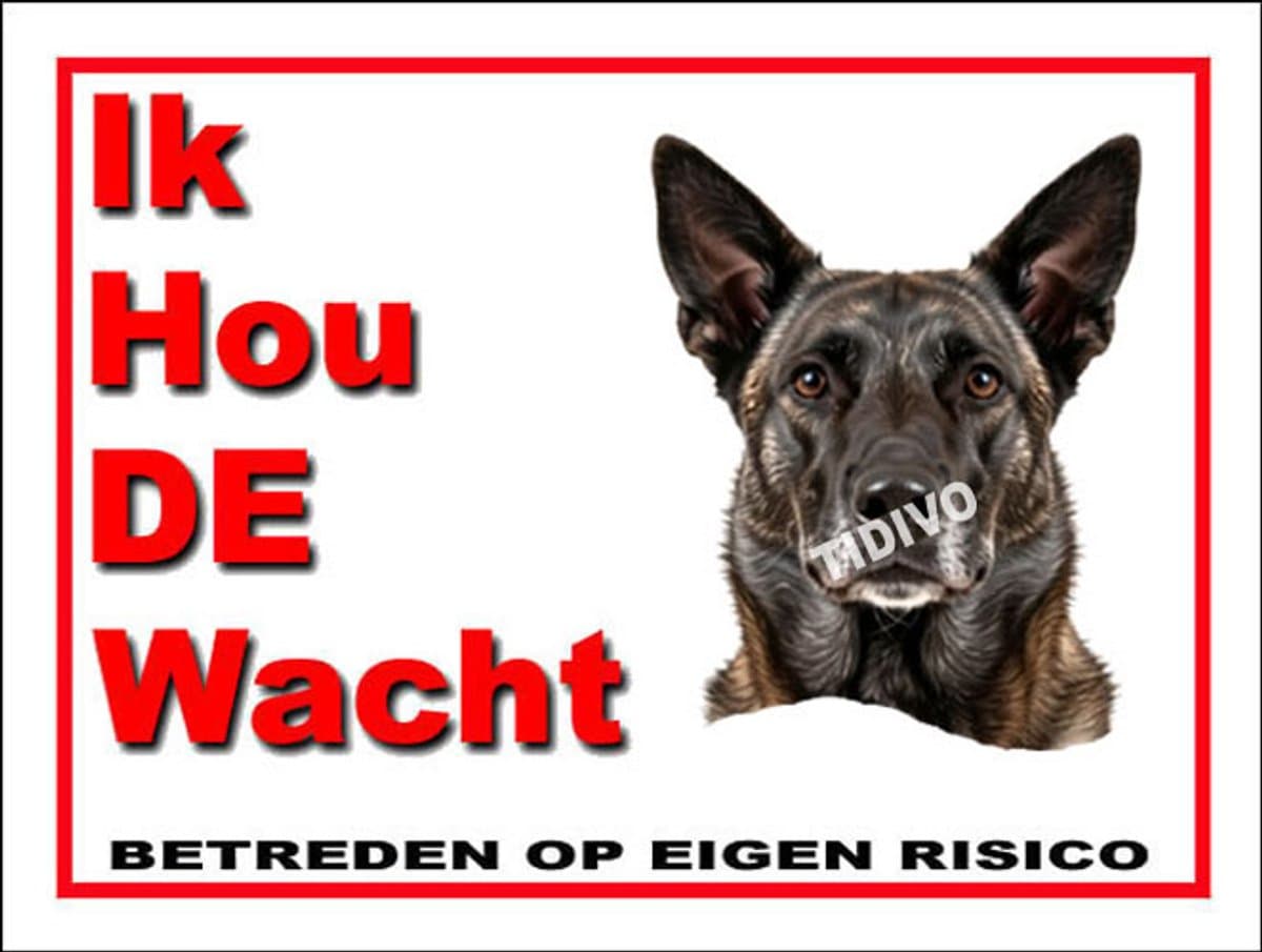 Hollandse Herdershond, korthaar 7