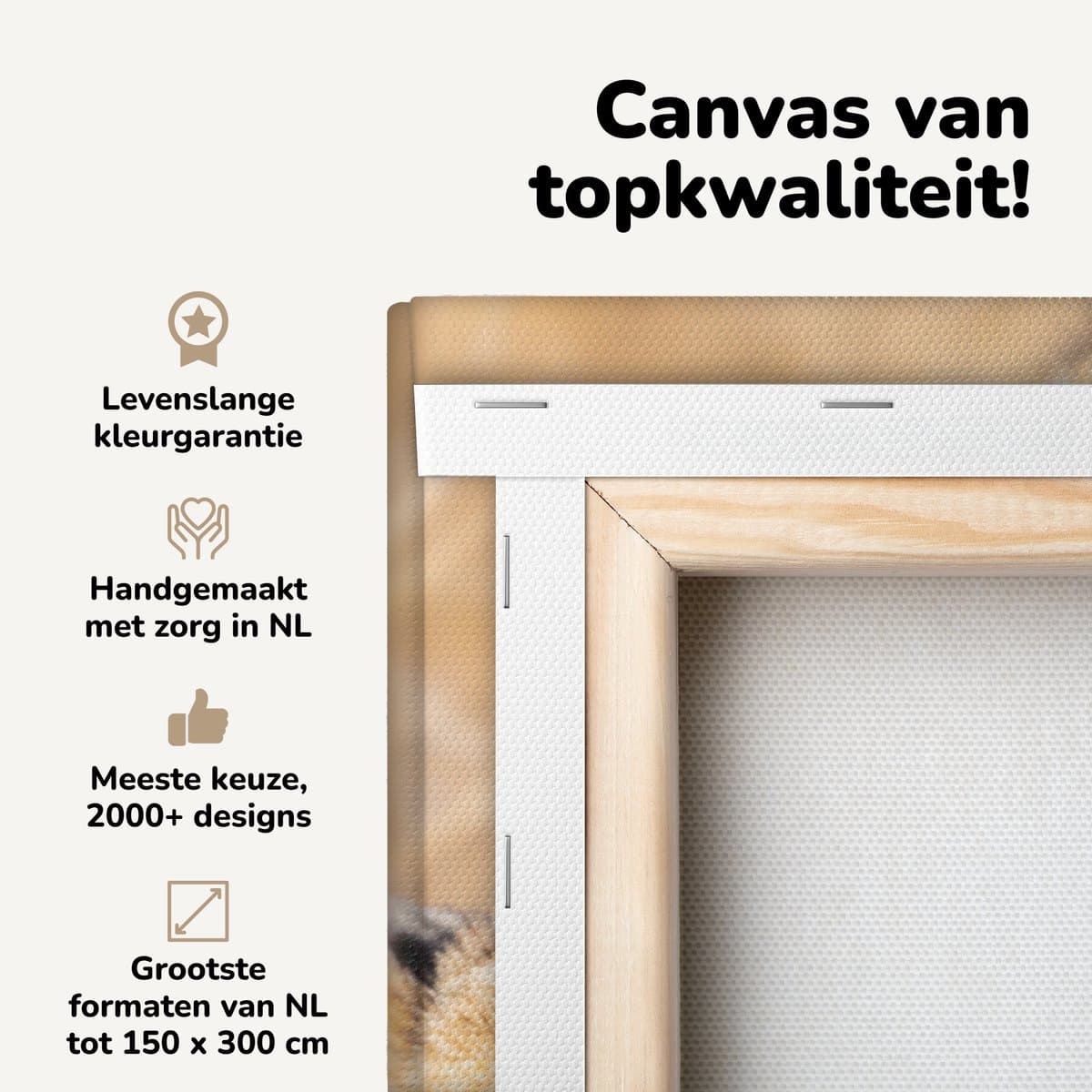 Canvas schilderij 20x20 cm - Wanddecoratie Jachtluipaarden - Vriendschap - Dieren - Muurdecoratie woonkamer - Slaapkamer decoratie - Kamer accessoires - Schilderijen op canvas