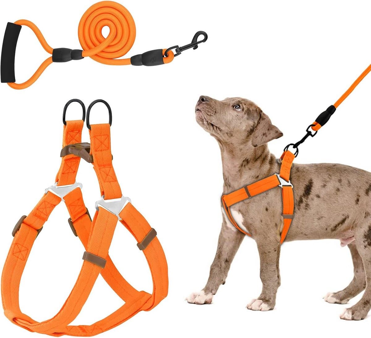 Verstelbaar hondenharnas met riem - comfortabel en veilig voor kleine tot grote honden