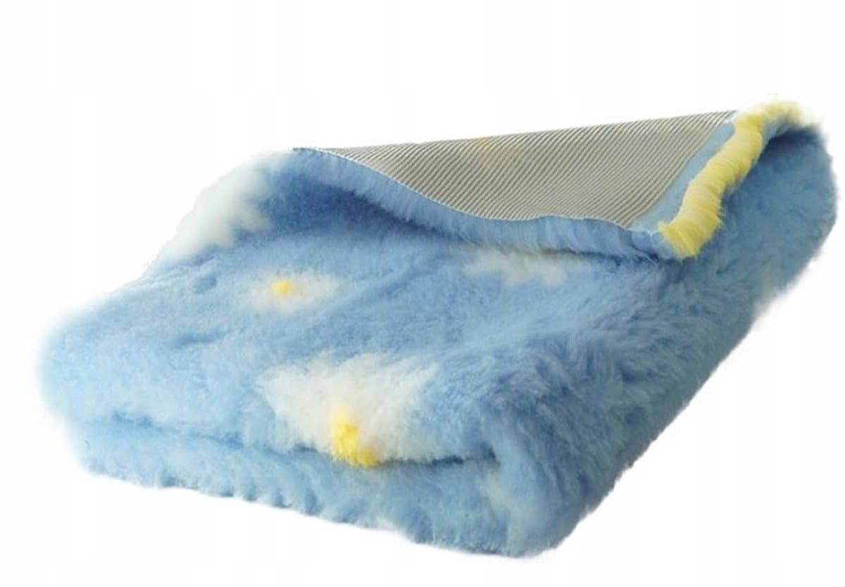 Dry Bed Vet A+ Hondenmand Blauw met Madeliefjes 75x50 cm