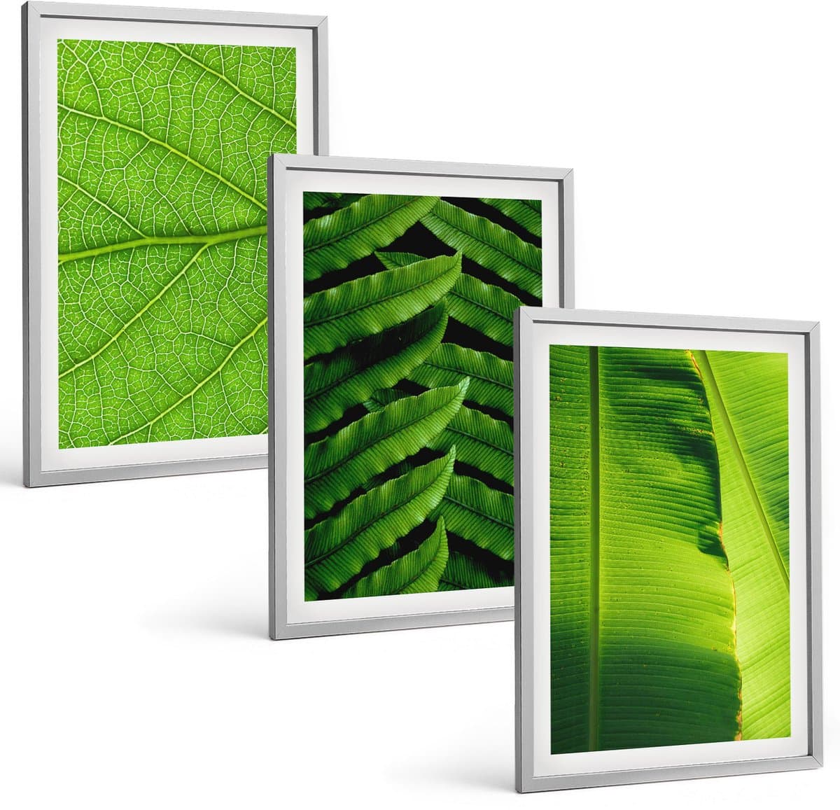 Coloray 3-Delige Schilderij Set - Close-Ups Van Tropische Bladeren - 40 x 60 cm - Schilderijen Set - Wanddecoratie - Woonkamer
