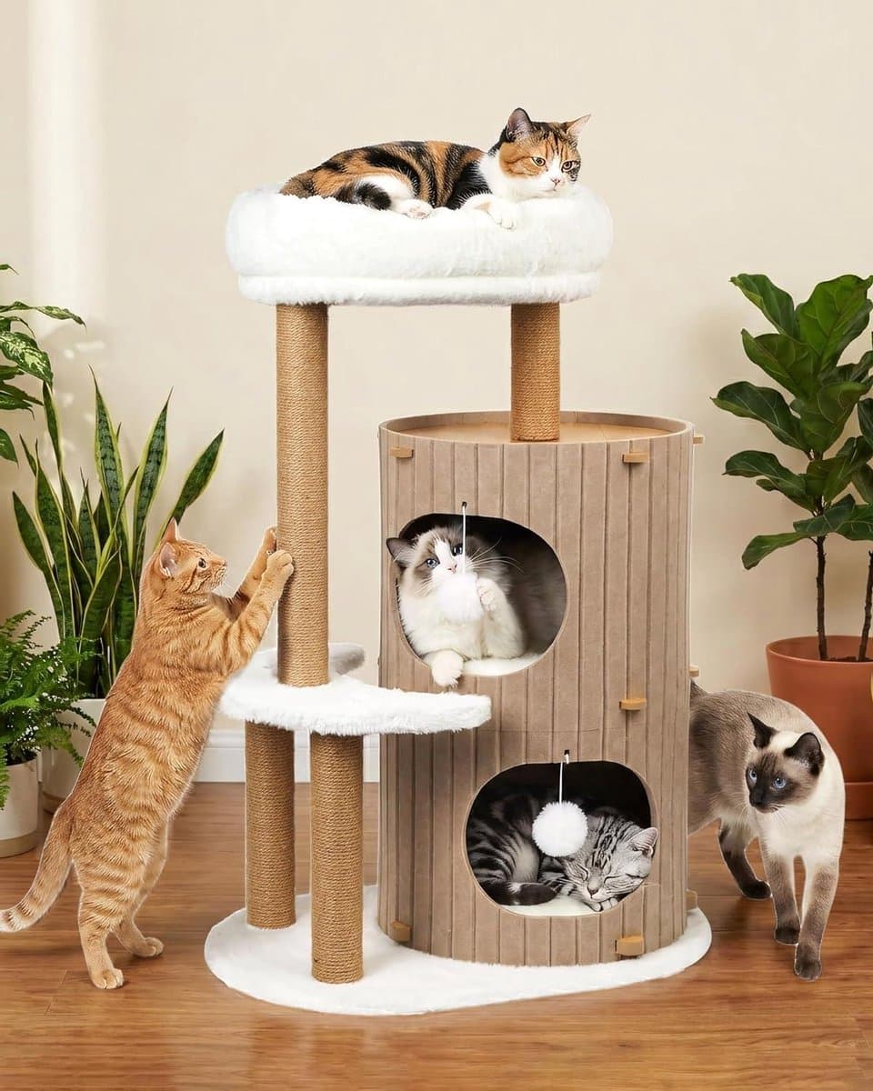 Luxe Krabpaal - Kattenboom Activiteit - Spel en Ontspanning - XXL Klimboom 4 Zones - 61 x 41 cm Basis
