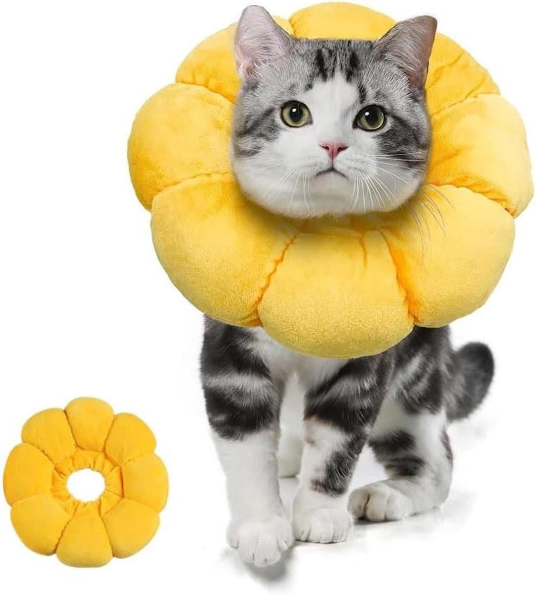 Kattenhalsband - Herstelhalsband Kat - Wondbescherming Huisdier - Zonnebloem Vorm - Nek 10-26 cm - Goud