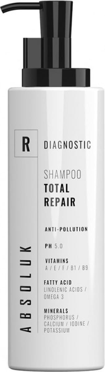 ABSOLUK - Dry Shampoo - 1000 ml