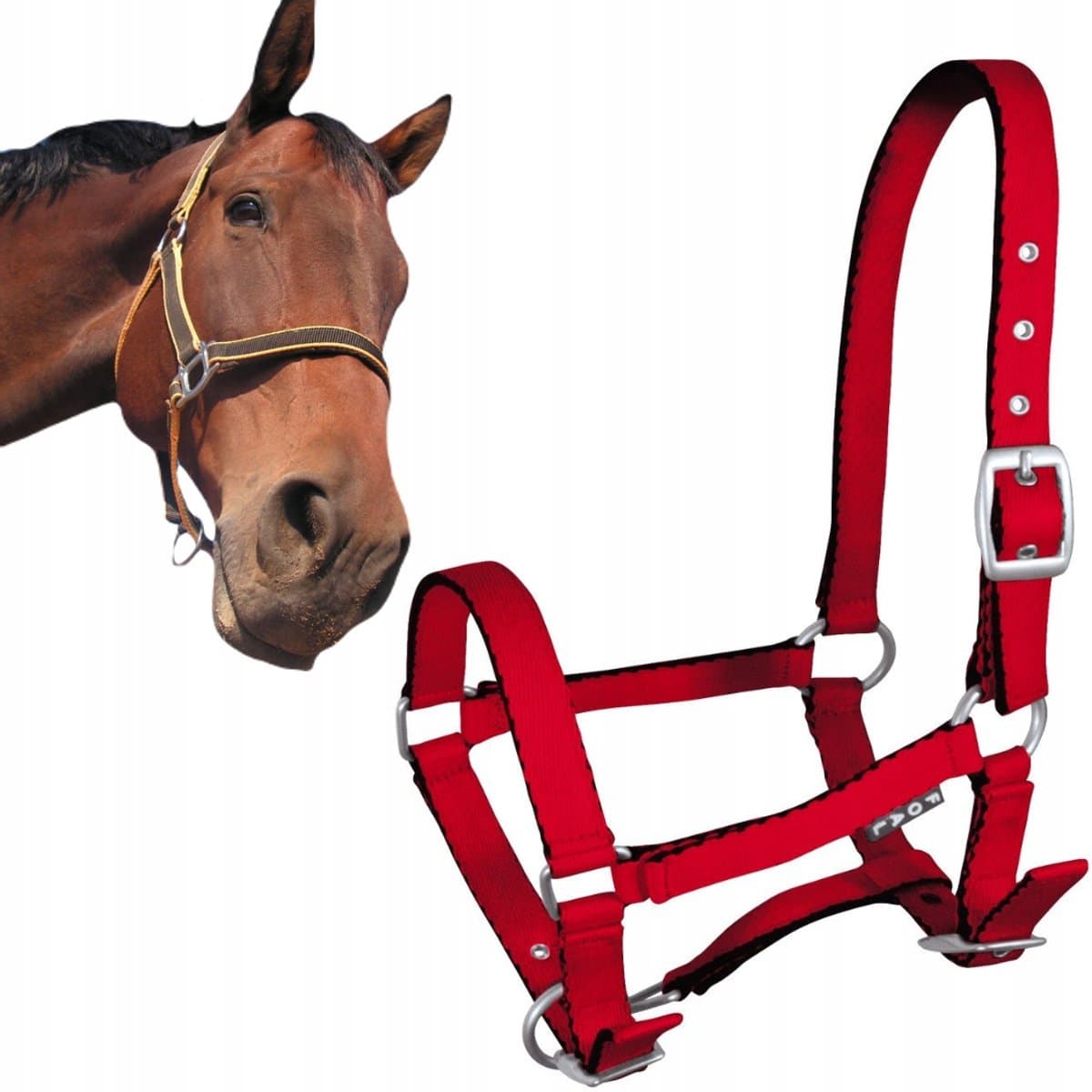 York Tobi Halster voor Veulens - Rood