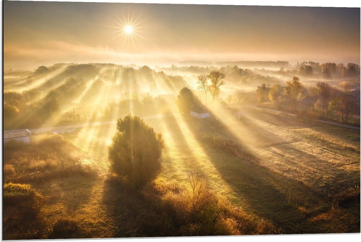 Dibond - Felle Zonnestralen over Landschap - 90x60cm Foto op Aluminium (Wanddecoratie van metaal)