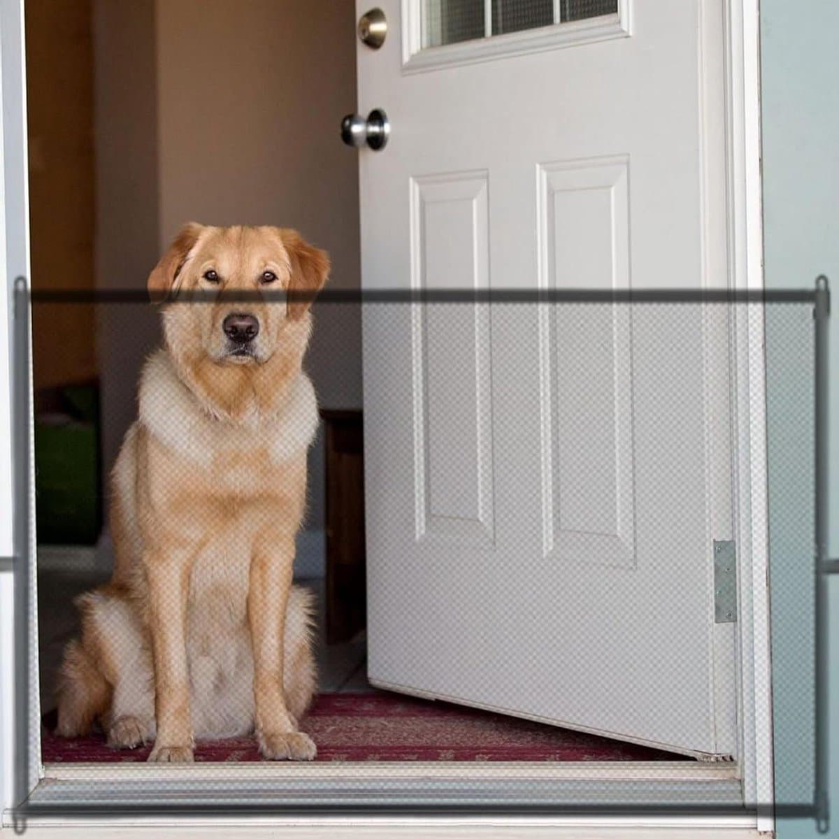 Veiligheidshek 110 x 72 cm - Kinderen - Honden - Trappen - Zonder boren