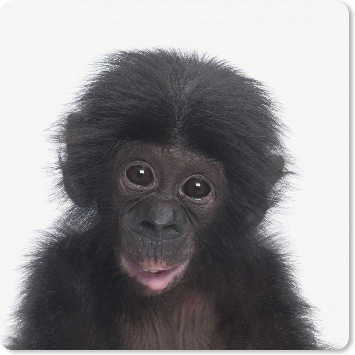 Muismat XXL 60x60 cm - Bureau onderlegger - Bureau mat Chimpansee - Dieren - Roze - Bureaumat - Gaming mousepad xl - Bureaulegger groot - Computer deskmat