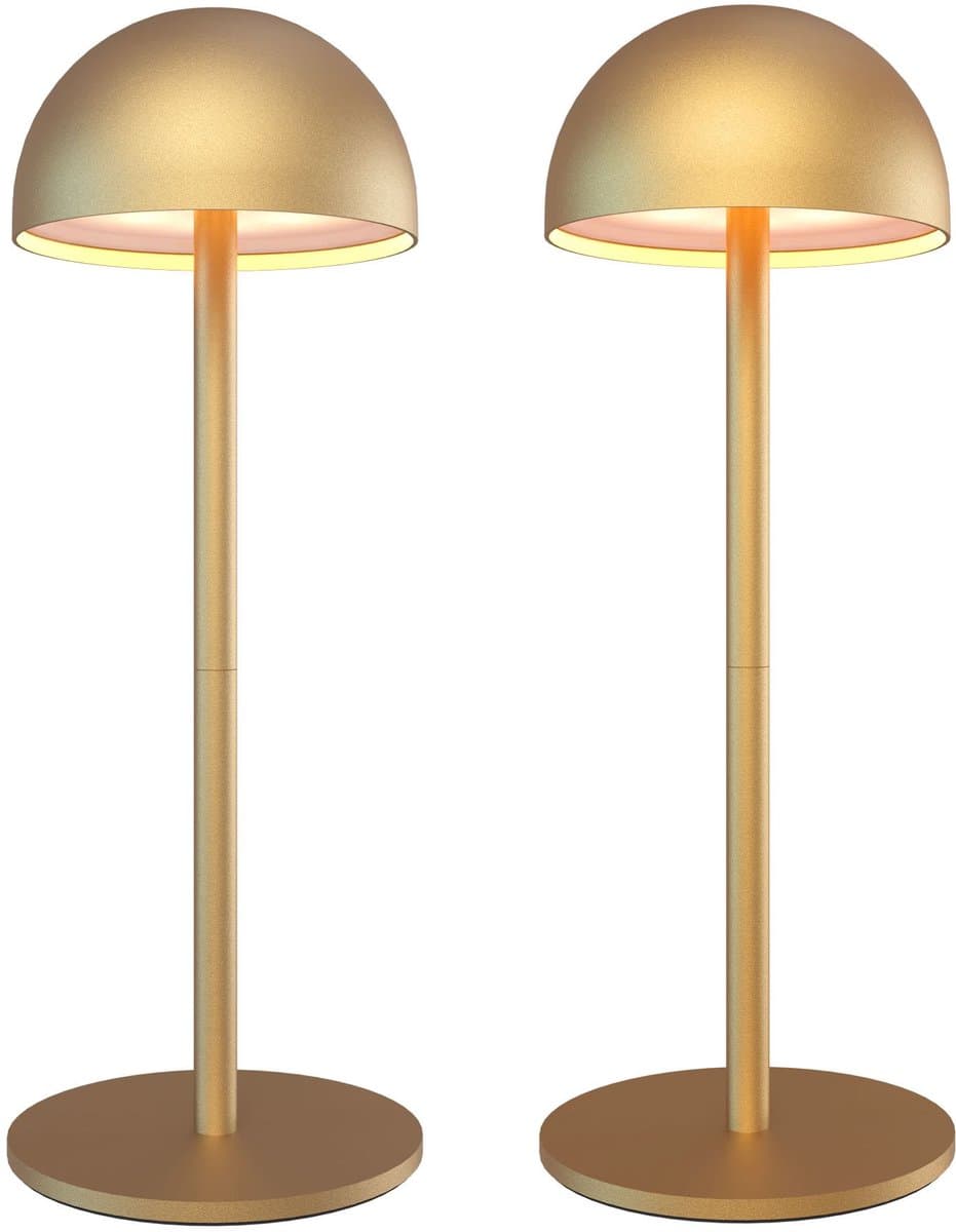 Ledvion - 2x Oplaadbare Tafellamp Vita - LED - Goud - Dimbaar - IP54 - USB