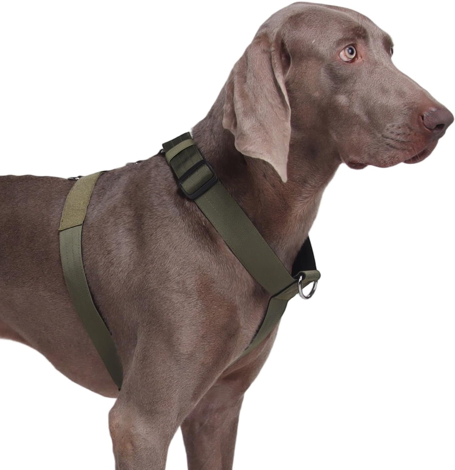 Hondenharnas voor Grote Honden - Verstelbaar - Ademend - Ideaal voor Buitentraining - m-winkel