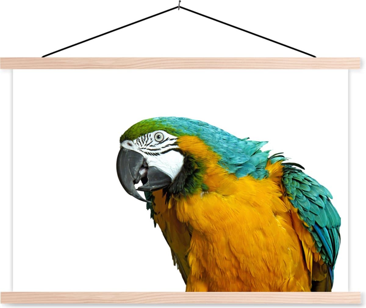 Posterhanger incl. Poster 150x100 cm - Schoolplaat - Papegaai - Vogel - Veren - Portret - Textielposter - Blanke latten