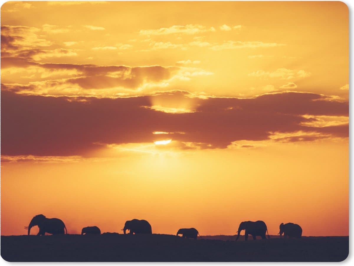 Muismat XXL 80x60 cm - Bureau onderlegger - Bureau mat Olifanten - Horizon - Zonsondergang - Dieren - Bureaumat - Gaming mousepad xl - Bureaulegger groot - Computer deskmat