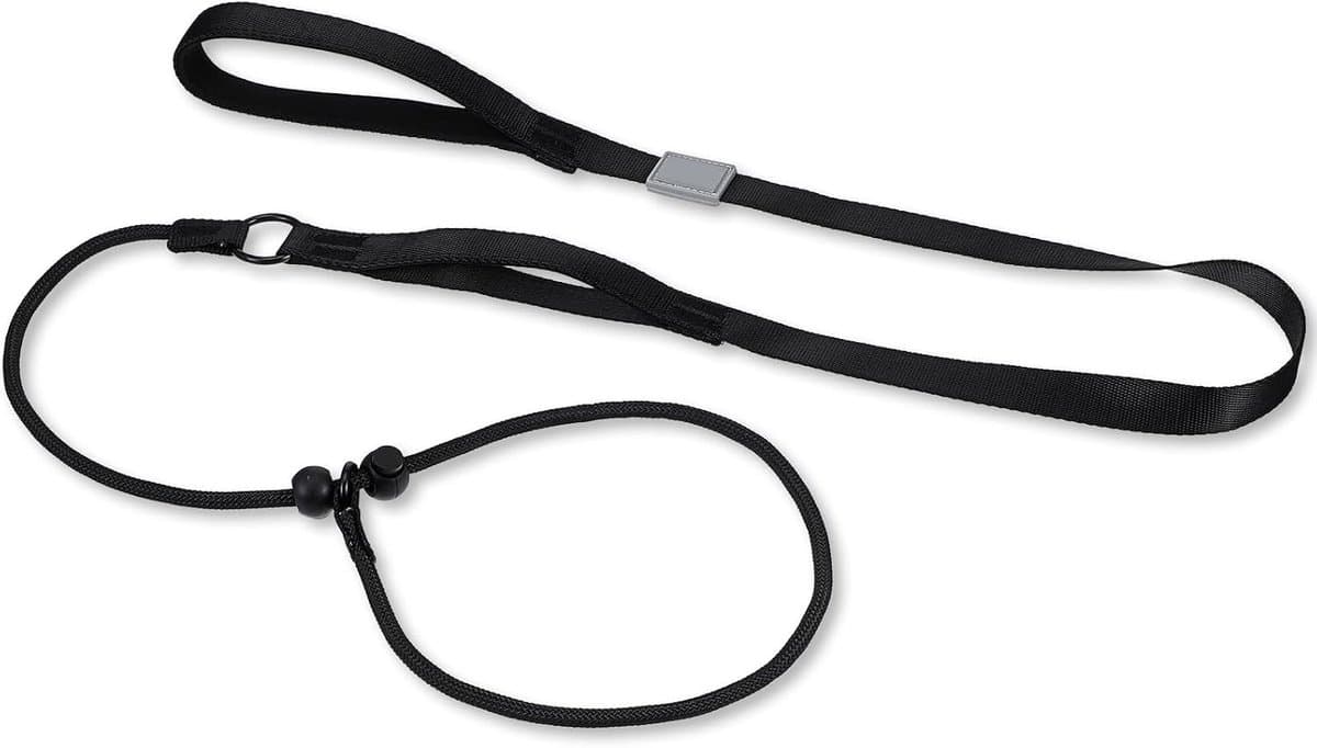 Hondenlijn 1.8 x 180 cm met Geïntegreerde Halsband - Robuuste en Weerbestendige Traininglijn voor Honden van Alle Groottes, Veilig en Duurzaam