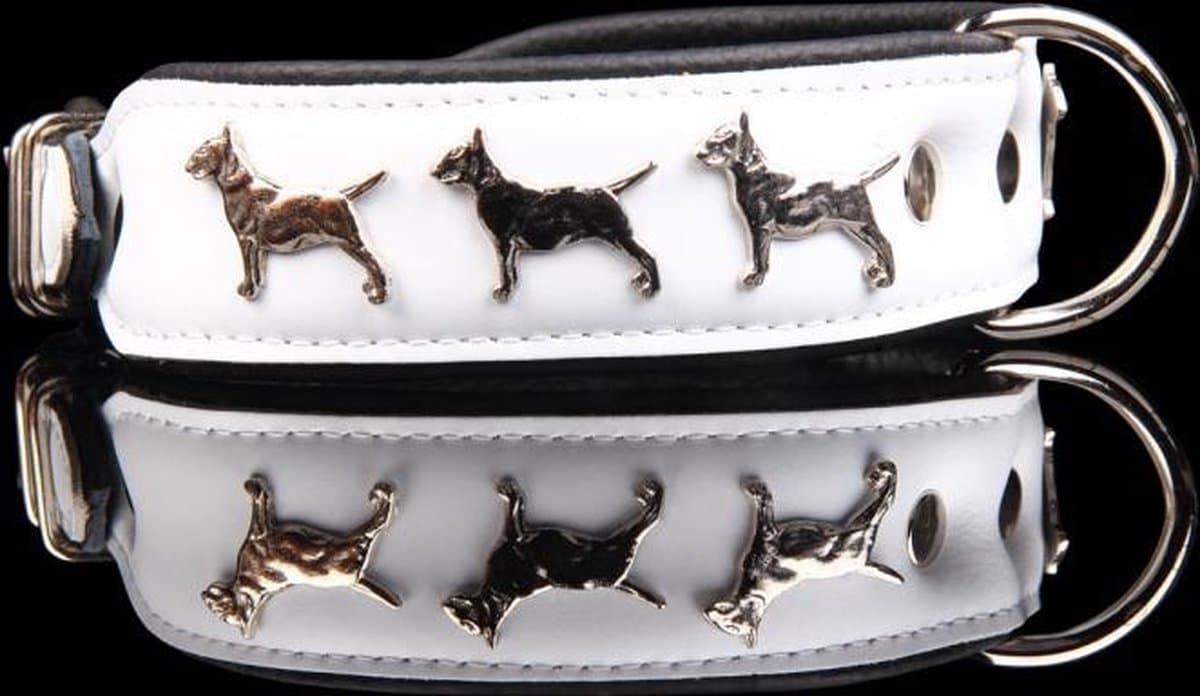 Dog's Companion Leren Halsband - Bull Terriër - Lengte: 45 cm Verstelbaar van: 32-41 cm x 40 mm - Wit/Zwart
