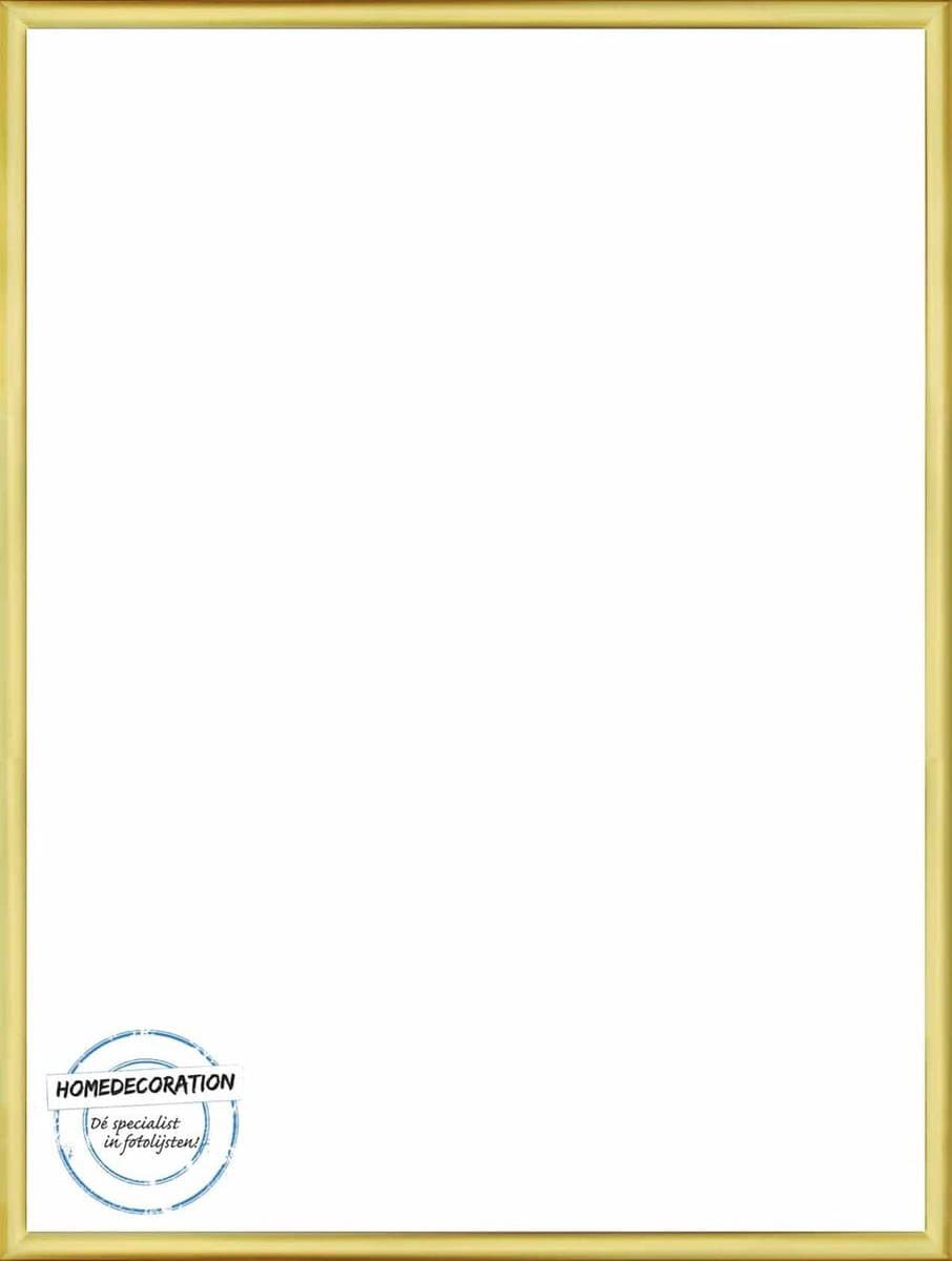 Homedecoration Almelo – Fotolijst – Fotomaat – 31 x 79 cm – Goud Glans
