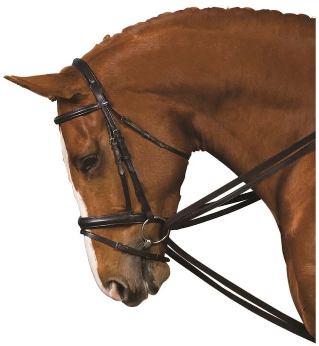 Teugels voor paarden Kincade Web Draw