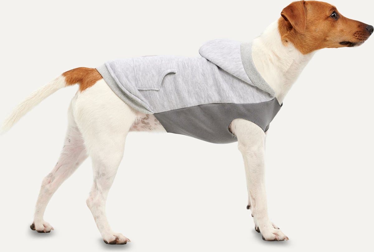 Goo-eez Kangaroo Fleece Hoodie Hond - Zachte Pluche Voering - XXL - Ruglengte 64 cm - Hondenhoodie - Eenvoudig Aantrekken - Grijs